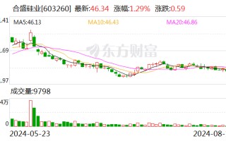 合盛硅业原董事、总经理方红承一审被判有期徒刑四年六个月 罚款 100 万元