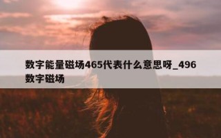 数字能量磁场 465 代表什么意思呀_496 数字磁场