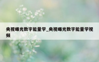 央视曝光数字能量学_央视曝光数字能量学视频