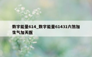 数字能量 614_数字能量 61431 六煞加生气加天医