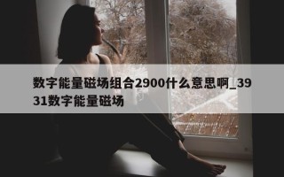 数字能量磁场组合 2900 什么意思啊_3931 数字能量磁场