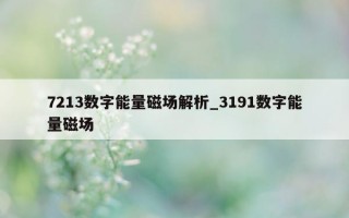 7213 数字能量磁场解析_3191 数字能量磁场