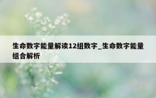 生命数字能量解读 12 组数字_生命数字能量组合解析