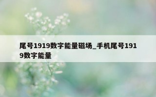 尾号 1919 数字能量磁场_手机尾号 1919 数字能量