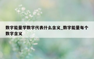 数字能量学数字代表什么含义_数字能量每个数字含义