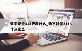 数字能量 311 代表什么_数字能量 3113 什么意思