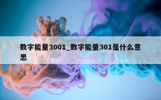 数字能量 3001_数字能量 301 是什么意思