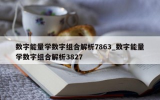 数字能量学数字组合解析 7863_数字能量学数字组合解析 3827