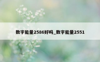 数字能量 2586 好吗_数字能量 2551