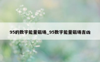 95 的数字能量磁场_95 数字能量磁场吉凶