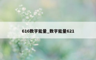 616 数字能量_数字能量 621