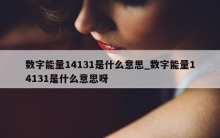 数字能量 14131 是什么意思_数字能量 14131 是什么意思呀