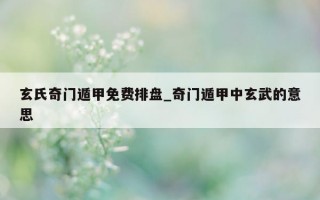 玄氏奇门遁甲免费排盘_奇门遁甲中玄武的意思