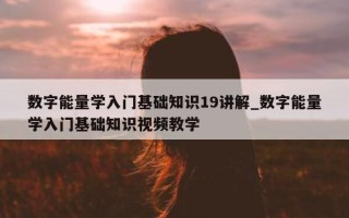 数字能量学入门基础知识 19 讲解_数字能量学入门基础知识视频教学