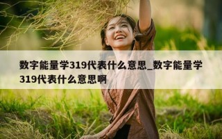 数字能量学 319 代表什么意思_数字能量学 319 代表什么意思啊