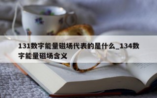 131 数字能量磁场代表的是什么_134 数字能量磁场含义