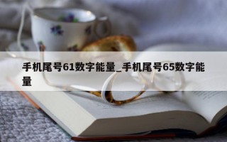 手机尾号 61 数字能量_手机尾号 65 数字能量