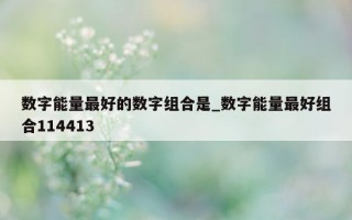 数字能量最好的数字组合是_数字能量最好组合 114413