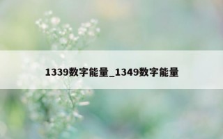 1339 数字能量_1349 数字能量