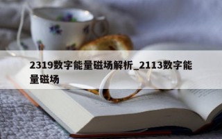 2319 数字能量磁场解析_2113 数字能量磁场