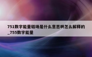 751 数字能量磁场是什么意思啊怎么解释的_755 数字能量