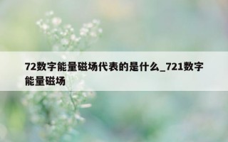 72 数字能量磁场代表的是什么_721 数字能量磁场