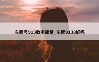 车牌号 913 数字能量_车牌 9138 好吗