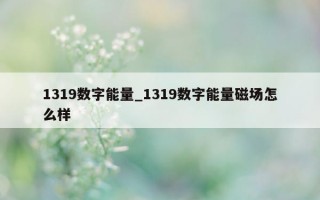 1319 数字能量_1319 数字能量磁场怎么样