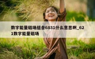 数字能量磁场组合 6831 什么意思啊_621 数字能量磁场