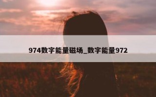 974 数字能量磁场_数字能量 972