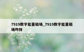 7919 数字能量磁场_7919 数字能量磁场咋样