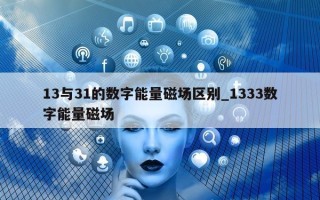 13 与 31 的数字能量磁场区别_1333 数字能量磁场