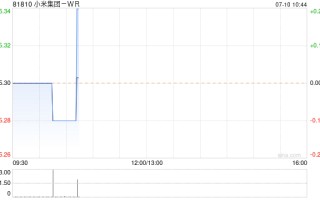 小米集团 -W7 月 9 日斥资约 4917.96 万港元回购 300 万股