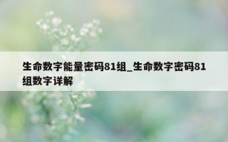 生命数字能量密码 81 组_生命数字密码 81 组数字详解