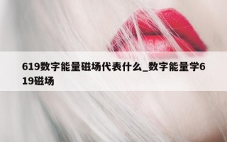 619 数字能量磁场代表什么_数字能量学 619 磁场