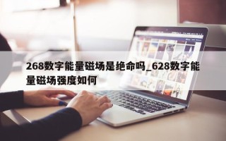 268 数字能量磁场是绝命吗_628 数字能量磁场强度如何