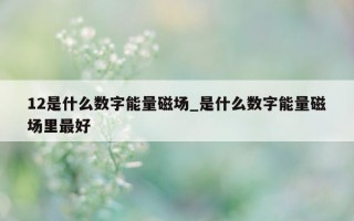 12 是什么数字能量磁场_是什么数字能量磁场里最好