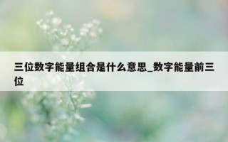 三位数字能量组合是什么意思_数字能量前三位