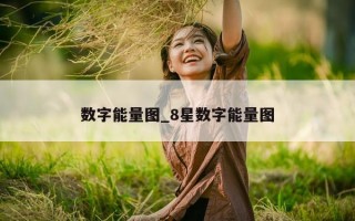 数字能量图_8 星数字能量图