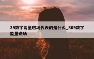 39 数字能量磁场代表的是什么_309 数字能量磁场