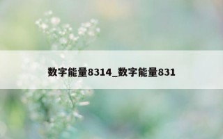 数字能量 8314_数字能量 831