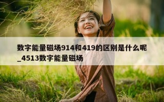 数字能量磁场 914 和 419 的区别是什么呢_4513 数字能量磁场