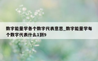 数字能量学各个数字代表意思_数字能量学每个数字代表什么 1 到 9