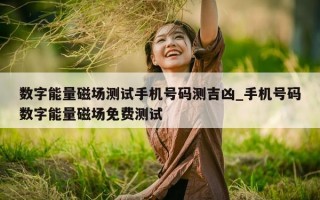 数字能量磁场测试手机号码测吉凶_手机号码数字能量磁场免费测试