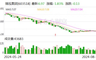 锦泓集团：2024 年半年度净利润同比增长 3.08%