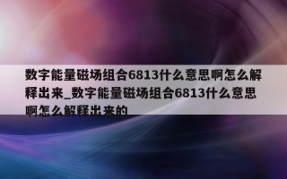 数字能量磁场组合 6813 什么意思啊怎么解释出来_数字能量磁场组合 6813 什么意思啊怎么解释出来的