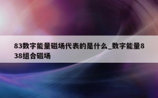 83 数字能量磁场代表的是什么_数字能量 838 组合磁场