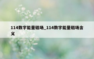 114 数字能量磁场_114 数字能量磁场含义