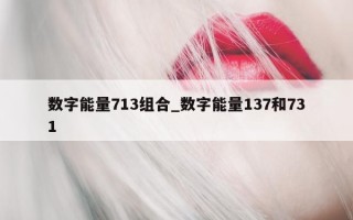 数字能量 713 组合_数字能量 137 和 731