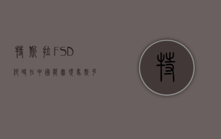 特斯拉 FSD 何时在中国能实现？马斯克回复：可能会很快